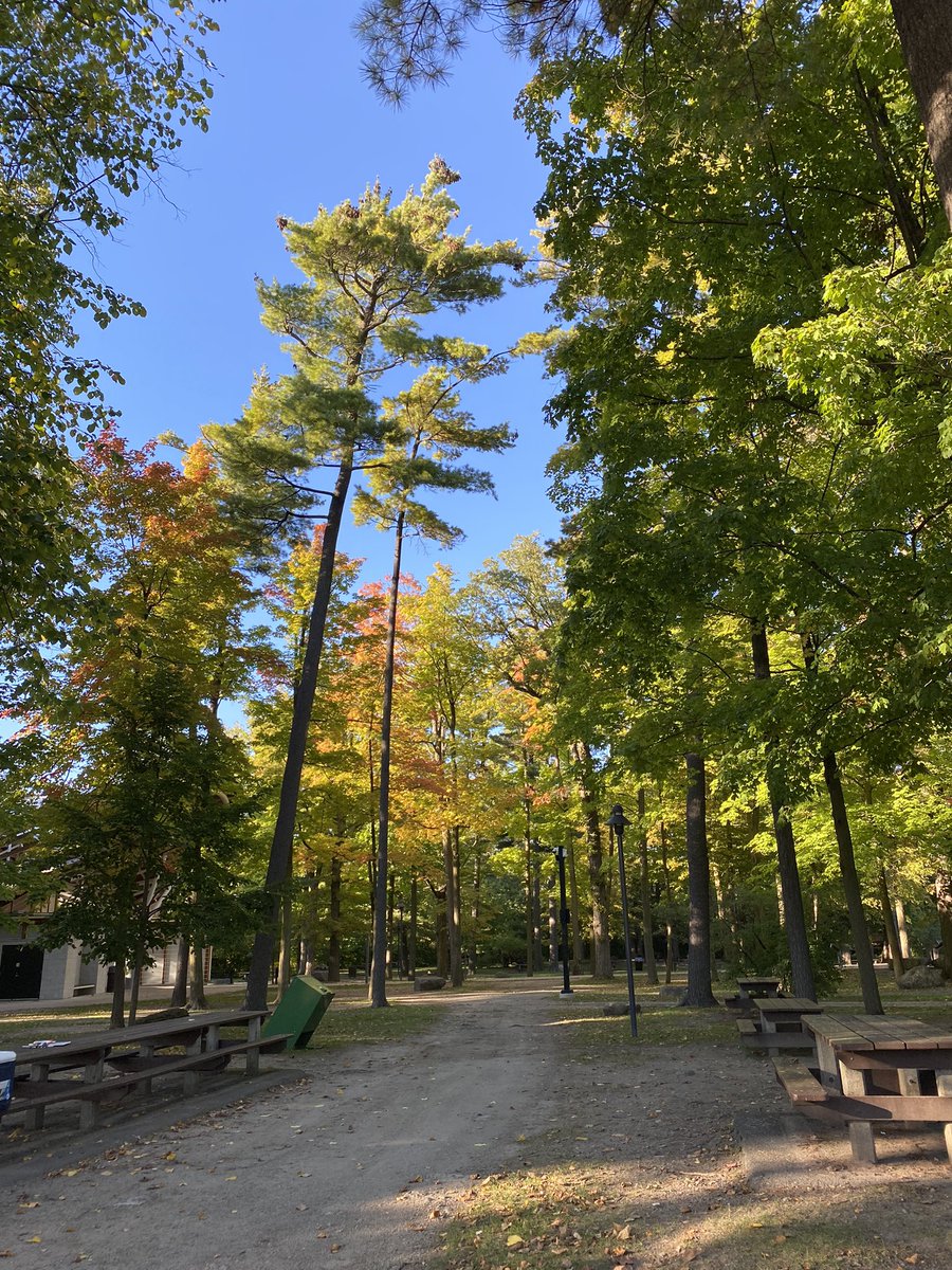 Beautiful night for a fall BBQ with Indigenous Education Learning Team!