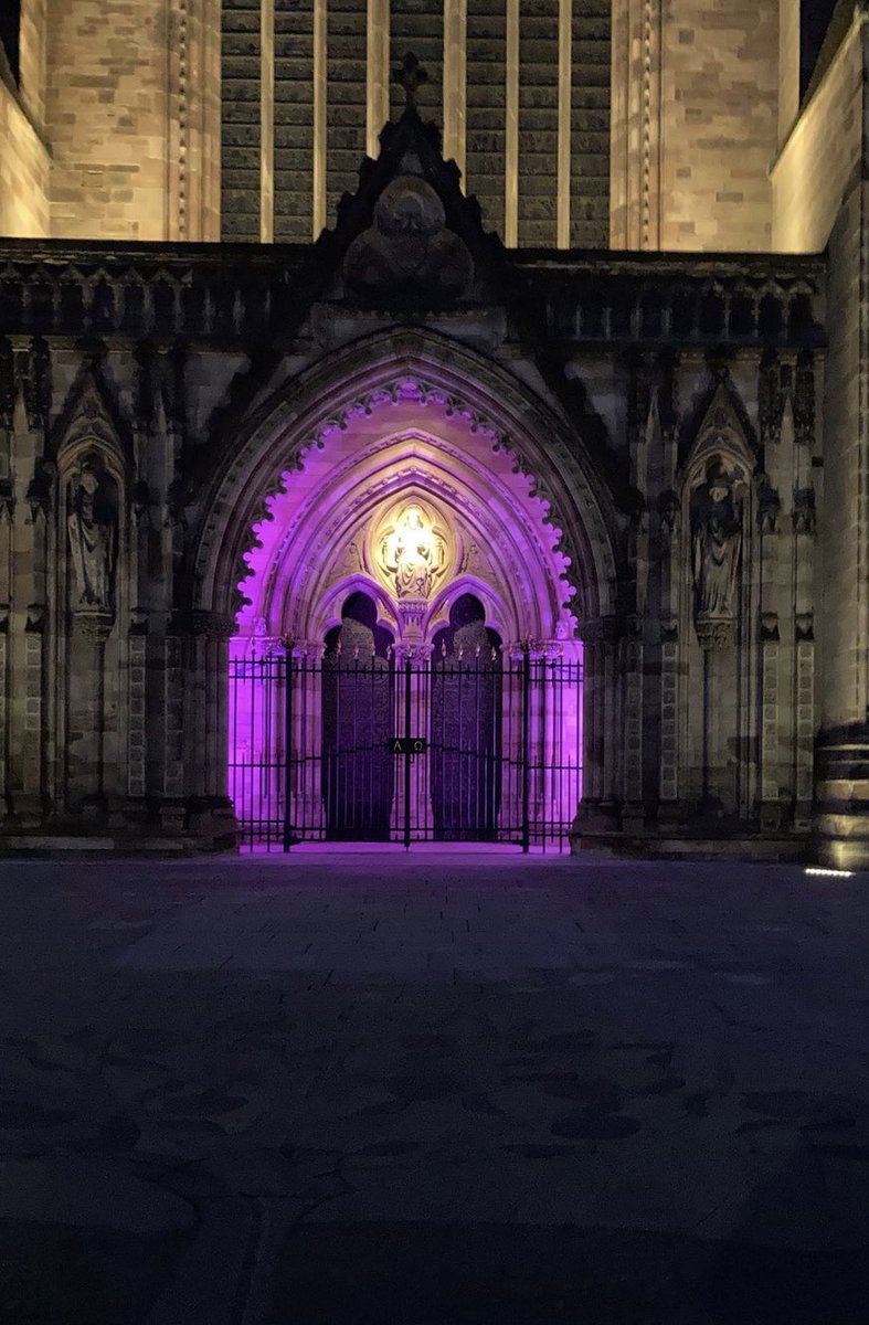 SouthWalesODST's tweet photo. In celebration of Organ Donation week lots of wonderful support has been shown to our incredible donors and their families by buildings in our region being lit up pink in recognition of the gift of life 💕 @BIPAneurinBevan @WyeValleyNHS @CV_UHB @CwmTafMorgannwg @SwanseabayNHS https://t.co/iXzWS9ijyA