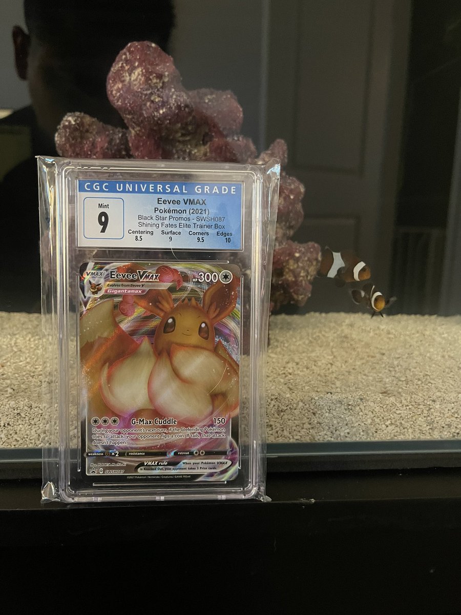 1k GIVEAWAY!!!!! thank you everyone for getting me here and sorry for the delay been a busy month. Im excited for this give away because who doesnt want an eevee!!!

1. Like
2. Retweet
3. Follow
4. Tag a buddylution 

<a href="/BUYSELLTRADETCG/">BUY/SELL/TRADE TCG</a> <a href="/PokemonTCGTrade/">Pokemon TCG Buy/Sell/Trade</a> <a href="/IchooseYouMew2/">SLABS R US BUY/SELL/TRADE</a>