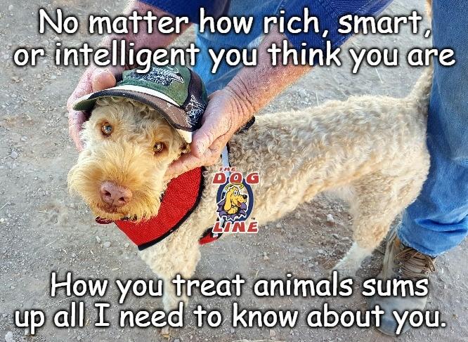 thedogline_'s tweet photo. Share if you agree! πΎ
#TheDogLine #australia #dogs #dogsofaustralia #follow #dogsmiles #dogscorner #dogslife #dogsandpals #dogsarelife #dogsarefamily #doglover #dogstar #ilovedogs #LifeWithDogs #lovedogs #lovepuppies https://t.co/UG1ZnuBqpj