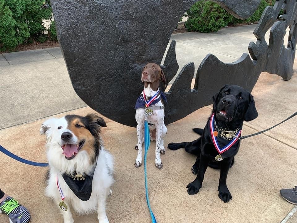 pucvm's tweet photo. Some big and small winners from the Dr. Skip Jackson annual dog jog!
#SkipJacksonDogJog #DogJog #PetsOfPurdue #PurduePets #PurdueVetMed #BoilerUp #Boilermakers #doglife #dogsofpurdue #BeAPurdueVet @LifeAtPurdue https://t.co/C8WNXmHz0E