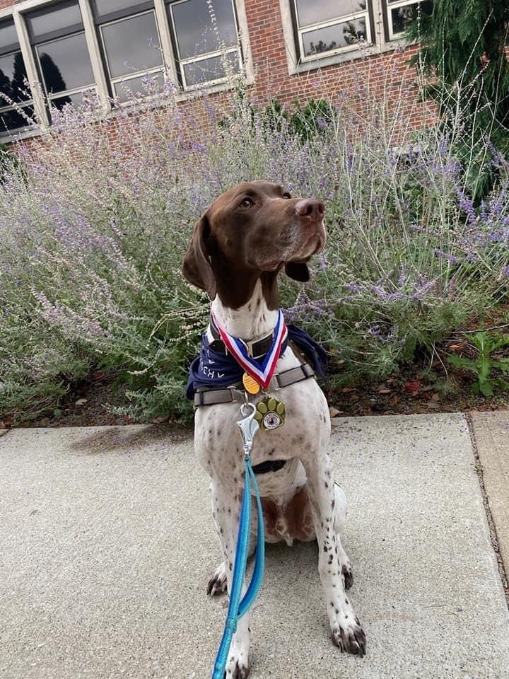 pucvm's tweet photo. Some big and small winners from the Dr. Skip Jackson annual dog jog!
#SkipJacksonDogJog #DogJog #PetsOfPurdue #PurduePets #PurdueVetMed #BoilerUp #Boilermakers #doglife #dogsofpurdue #BeAPurdueVet @LifeAtPurdue https://t.co/C8WNXmHz0E