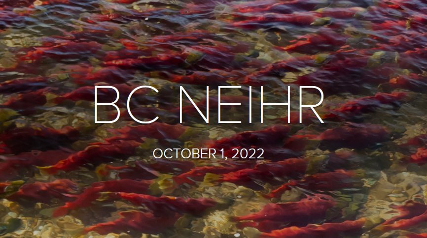 BCNEIHR's tweet photo. Our October newsletter is up! Our ICCO funding call is opening on Oct. 1. Many other research and student funding opportunities are also available! 
https://t.co/9mMNDgF70Y https://t.co/kEFurZAqBf