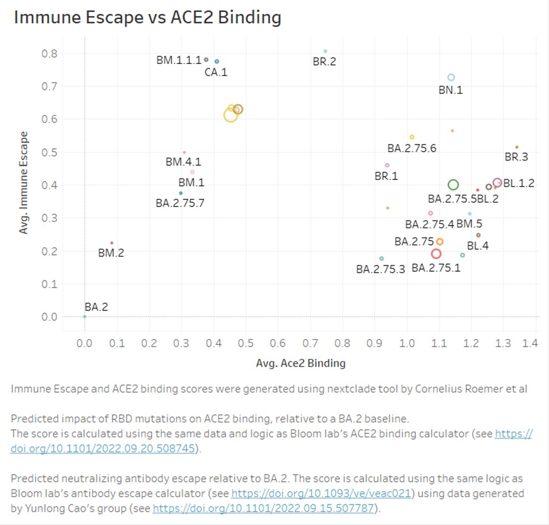 RajlabN's tweet photo. A plot of Immune Escape vs ACE2 Binding scores generated using the #NextClade tool (developed by @CorneliusRoemer)
Most BA.2.75* sub-lineages have good ACE2 binding scores.
BN.1 (BA.2.75 with S:K356T, S:R346T & S:490S) is one of the lineages to watch! https://t.co/Z4uDLAUz6l
