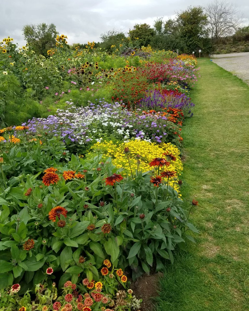 JennyHilborne's tweet photo. Beautiful flowers at Aston Pottery https://t.co/Uq3S34sjpJ