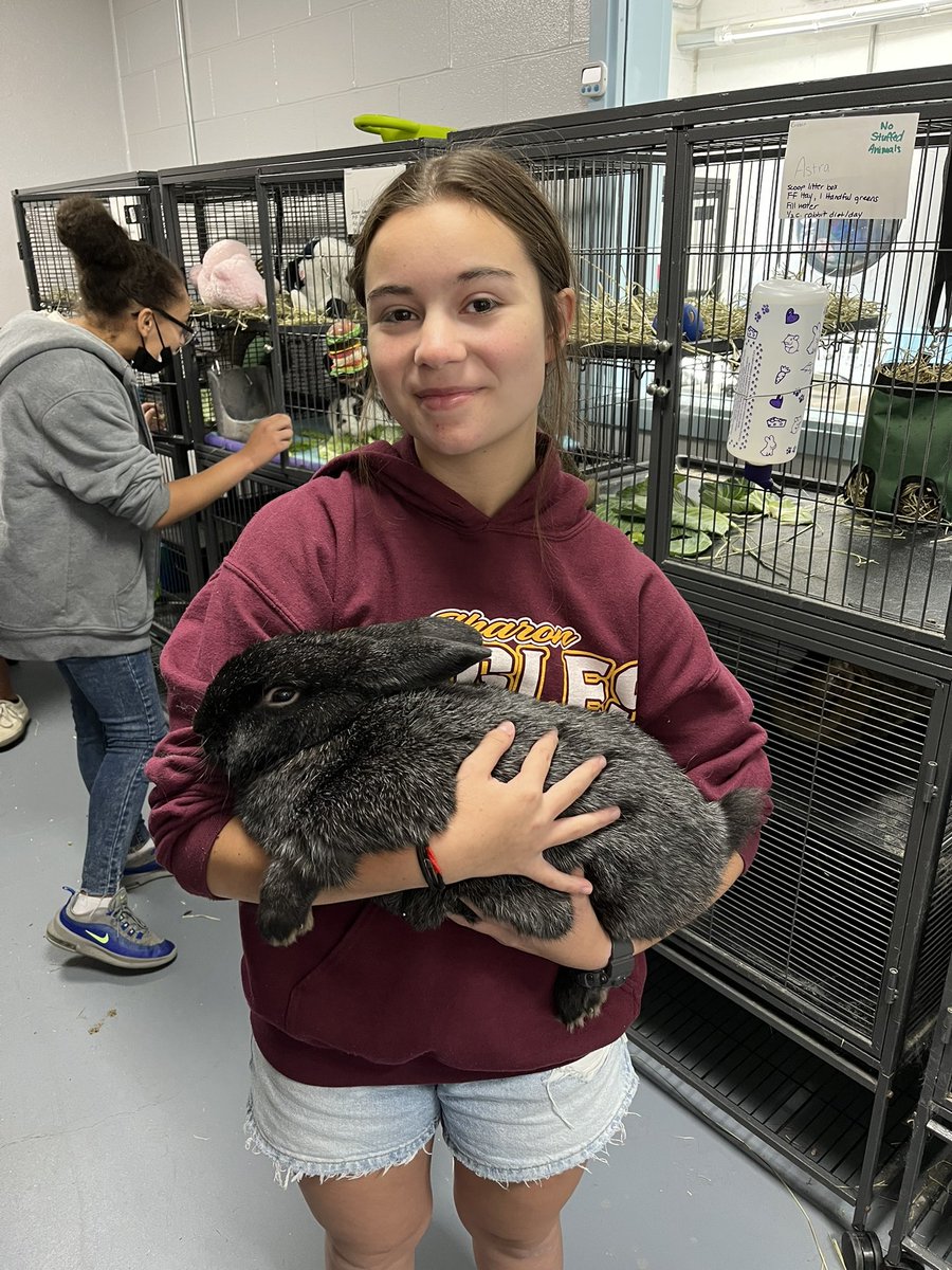 manzi_smith's tweet photo. Ag 2 conquered animal handling today! https://t.co/4r61cpJnPV