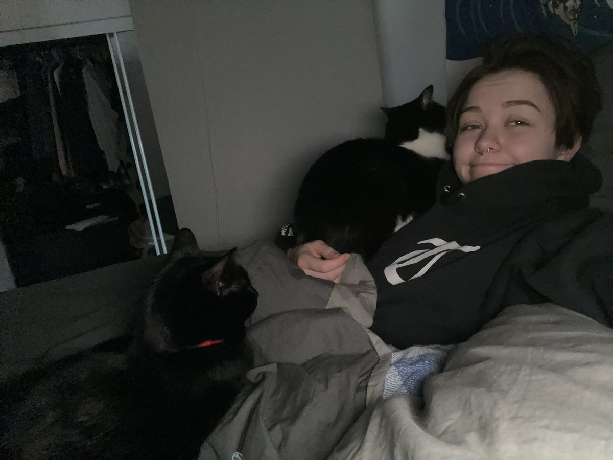 roseasaur's tweet photo. My cats are really good at knowing when I need them https://t.co/CfxQYf1ooj