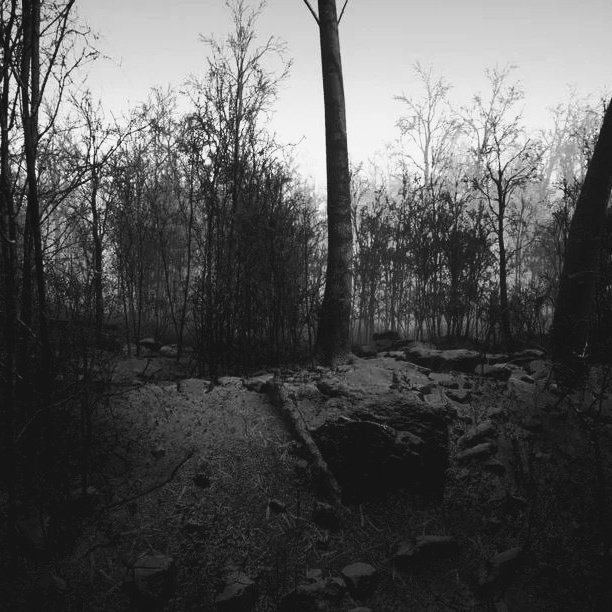 Different_Level's tweet image. Three