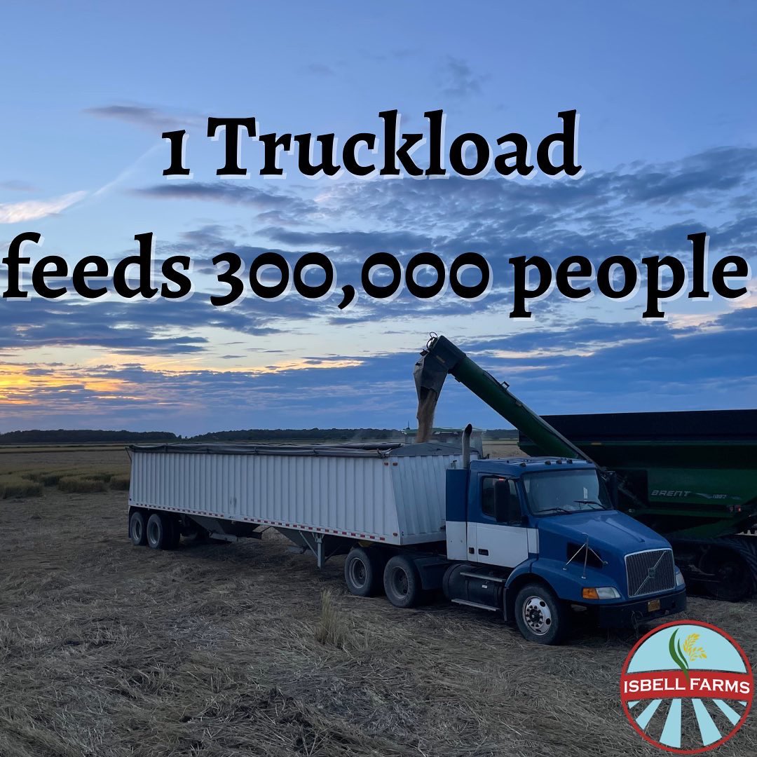 Isbellfarms's tweet photo. We like the way this visual puts things in perspective… 
On a normal day of harvest we cut about 15 loads, which means we can easily cut enough rice in 1 day to feed 4.5 million people. 
That’s how farmers feed the world…🌾🌾
#isbellfarms #harvest2022 #rice #arkansas https://t.co/6mABGBFF6u