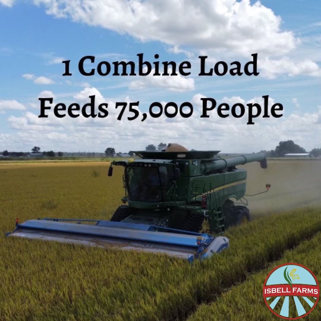 Isbellfarms's tweet photo. We like the way this visual puts things in perspective… 
On a normal day of harvest we cut about 15 loads, which means we can easily cut enough rice in 1 day to feed 4.5 million people. 
That’s how farmers feed the world…🌾🌾
#isbellfarms #harvest2022 #rice #arkansas https://t.co/6mABGBFF6u