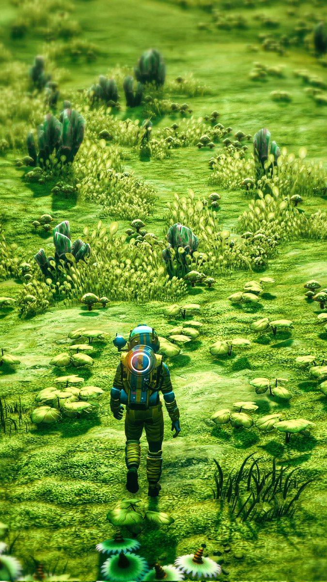 NoMansSky's tweet image. 