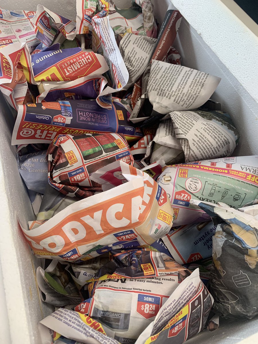 Stonefields School tweet media