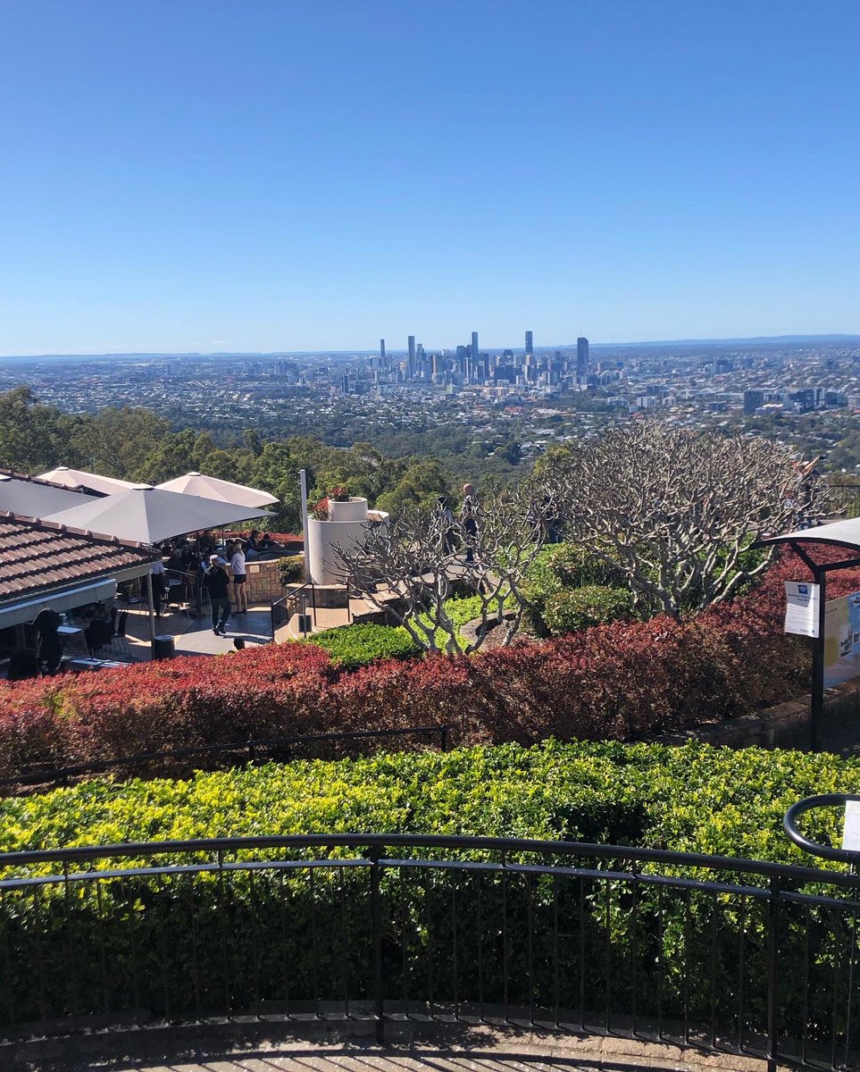 Vivystravels's tweet photo. Beautiful day out and enjoying these views on a recent travel. After going to the lookout we visited the Botanic Gardens. I love 💕 coming here 🪴
#garden #walk #mtcootha #botanicgardens #brisbane #queensland #qld https://t.co/I22Mhrt1dk