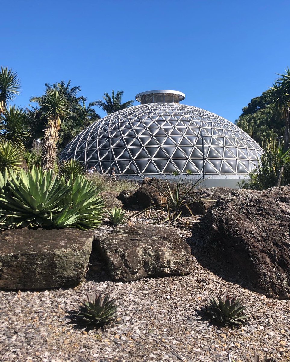 Vivystravels's tweet photo. Beautiful day out and enjoying these views on a recent travel. After going to the lookout we visited the Botanic Gardens. I love 💕 coming here 🪴
#garden #walk #mtcootha #botanicgardens #brisbane #queensland #qld https://t.co/I22Mhrt1dk