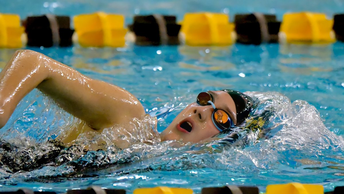 wvhsswim's tweet photo. Exceptional performance by the Road Warriors tonight! Thank you to @swimNVdiveNV for hosting another spectacular event!
@athleticswvhs @WaubonsieValley @WVHS_Boosters @Warriornation1
#OnThree #SwimLikeAGirl https://t.co/51XjqQxNIQ