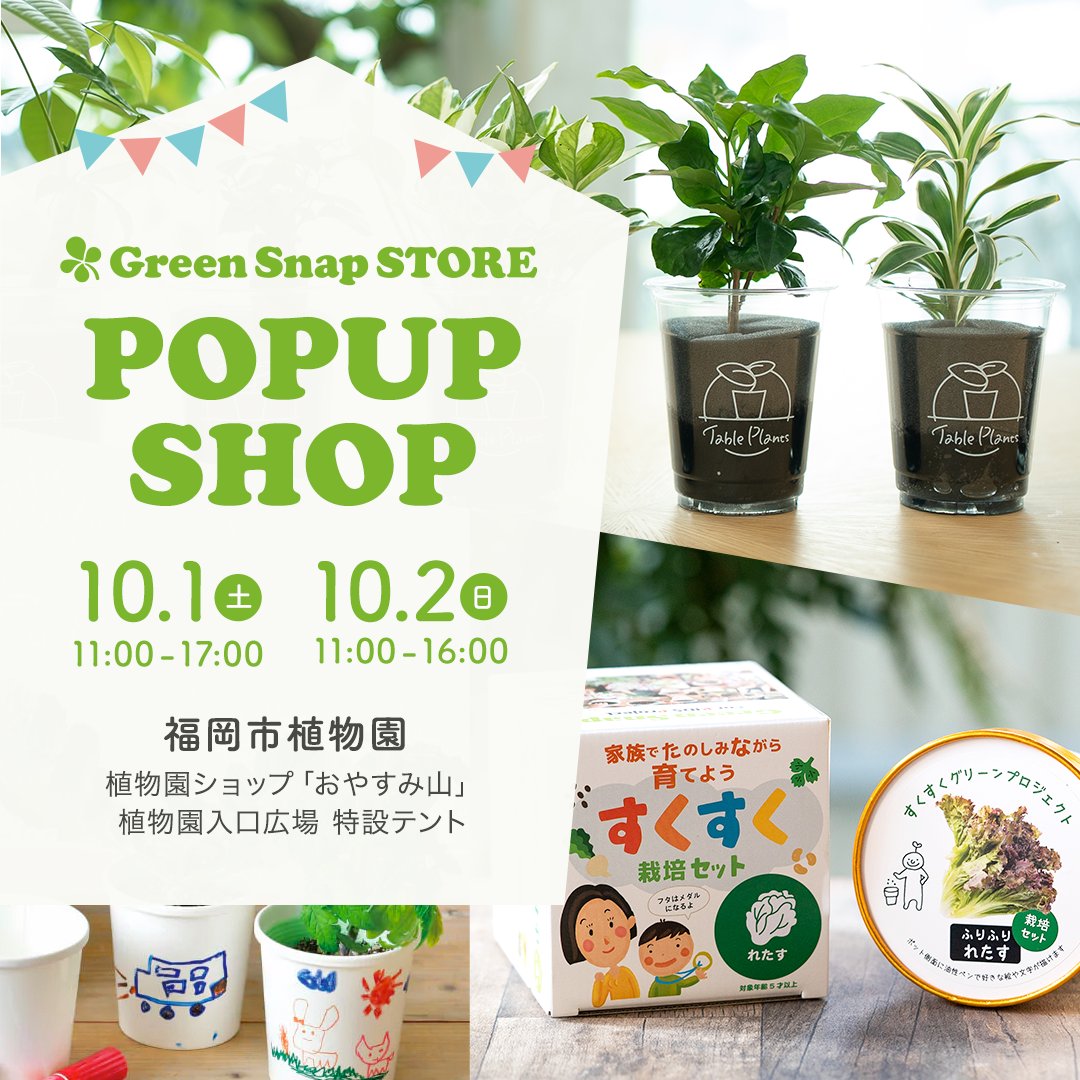 GreenSnap_JP's tweet photo. 2. 福岡市植物園
人気の「テーブルプランツ」や親子で楽しめる「すくすく栽培セット」を販売🌱
お子さんとぜひお越しください👦👧
10月1日(土) 11 :00〜17:00　2日(日) 11:00～16:00　
＠福岡市植物園　植物園ショップ「おやすみ山」
植物園入口　特設テント
#GreenSnapSTORE https://t.co/ff6GbqV2UP
