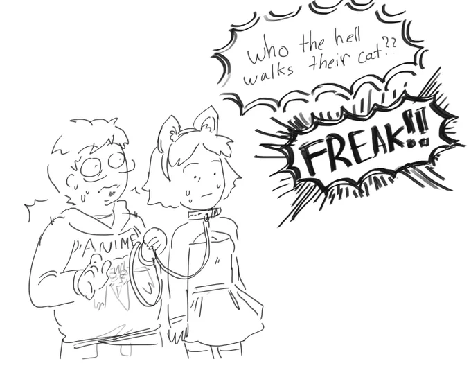 My reply for the cat leash couples 