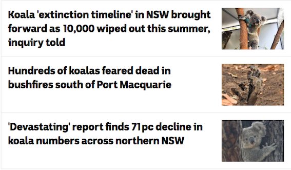 AFCA_Forests's tweet photo. On #SaveTheKoalaDay we remember 60,000+ #koalas lost their lives in the 2019-20 #Bushfires.
Protecting intact koala habitat from #logging and land clearing is the most effective solution to halt the koalas decline to #extinction. #LoggingMakesForestsMoreFlammable 🔥🌳🐨🙏🏾💔 https://t.co/dCwd3jAgMP