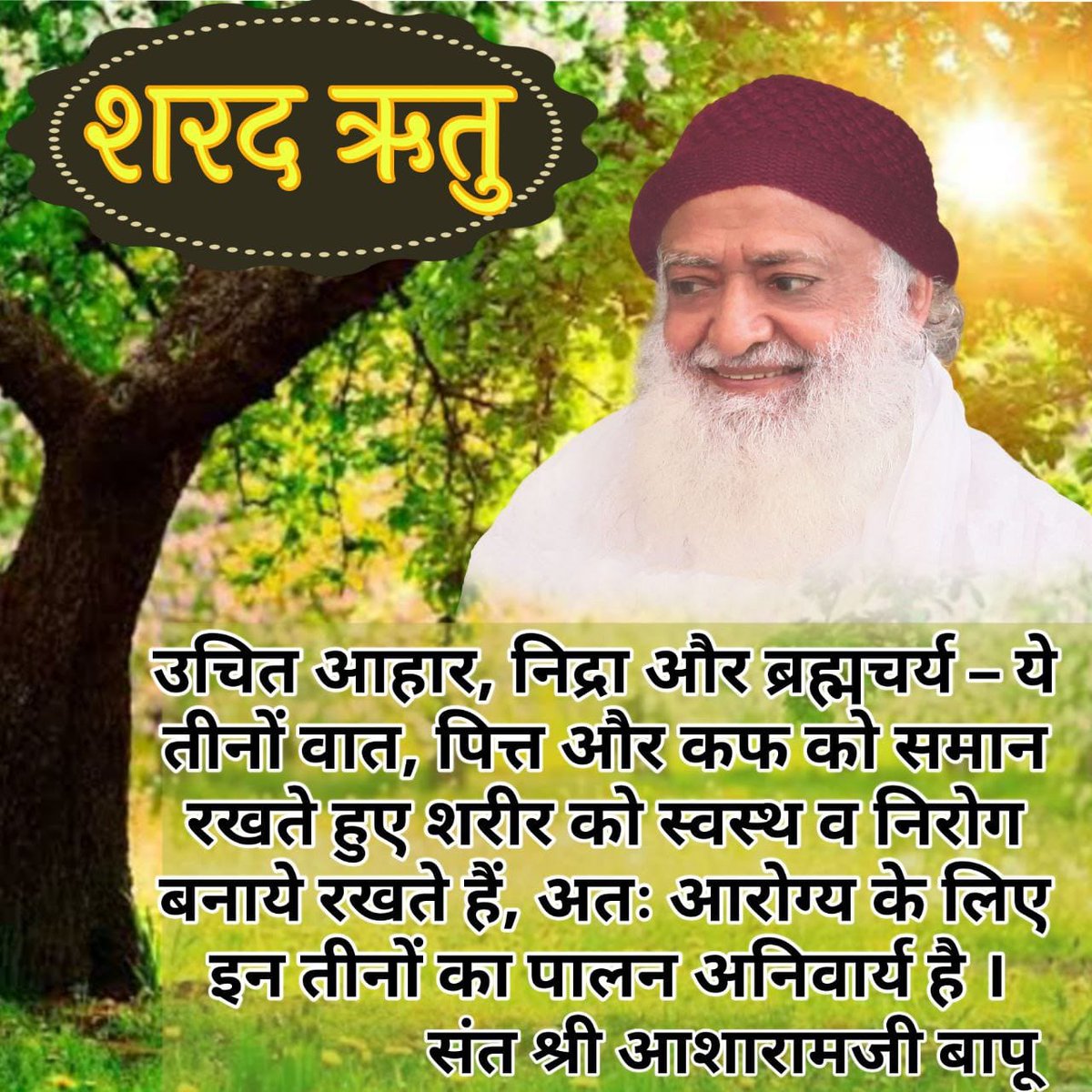svroop168's tweet photo. #स्वस्थ_कैसे_रहें
Sant Shri Asharamji Bapu Nirogi Kaaya के लिए Sharad Ritu Tips बताते है- इस ऋतु में जौ,ज्वार, मूँग,पुराने चावल,लाल चावल,
परवल,लौकी,गिल्की,तोरई,भिंडी,बथुआ,कुम्हड़ा,अनार,आँवला,उबालकर ठंडा किया जल,
देशी गाय का दूध व घी आदि स्वास्थ्य के लिए लाभदायक भोज्य पदार्थ है। https://t.co/eUUvGLMxYp