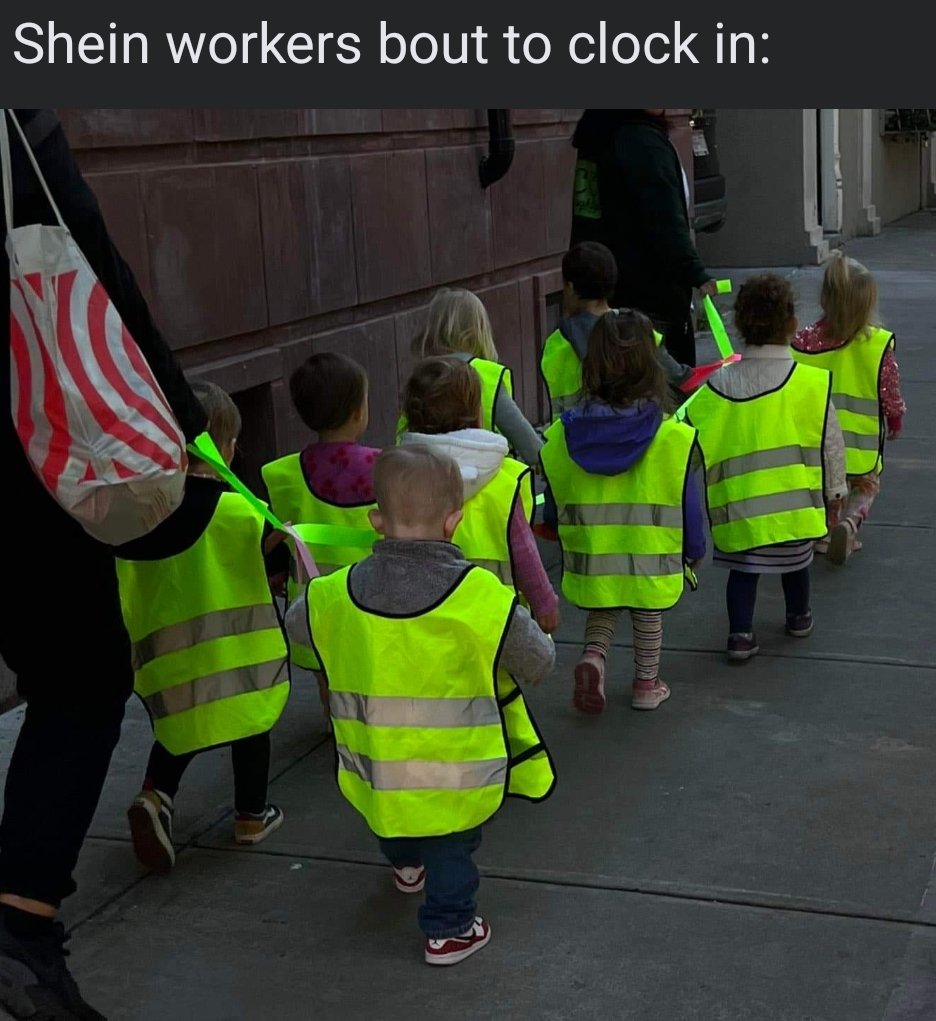 LamboMoo's tweet image. #logsout