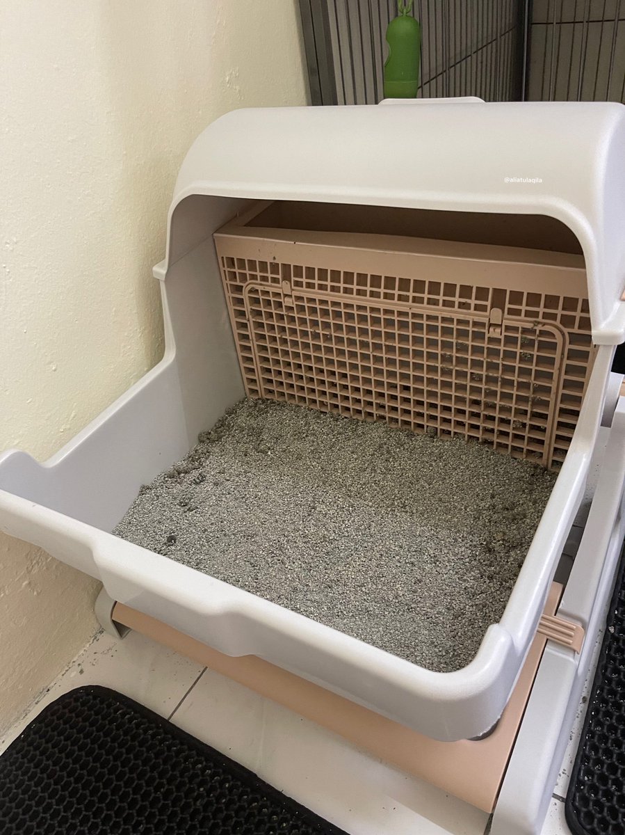 AliatulAqila's tweet photo. This litter box memang dah mudahkan kerja i!! 😍 Dah tak perlu amik masa yang lama untuk buang popo the bulus. Senang cerita sebenarnya i malas nak scoop popo the bulus 🤣 https://t.co/fLSNzkHS9Z