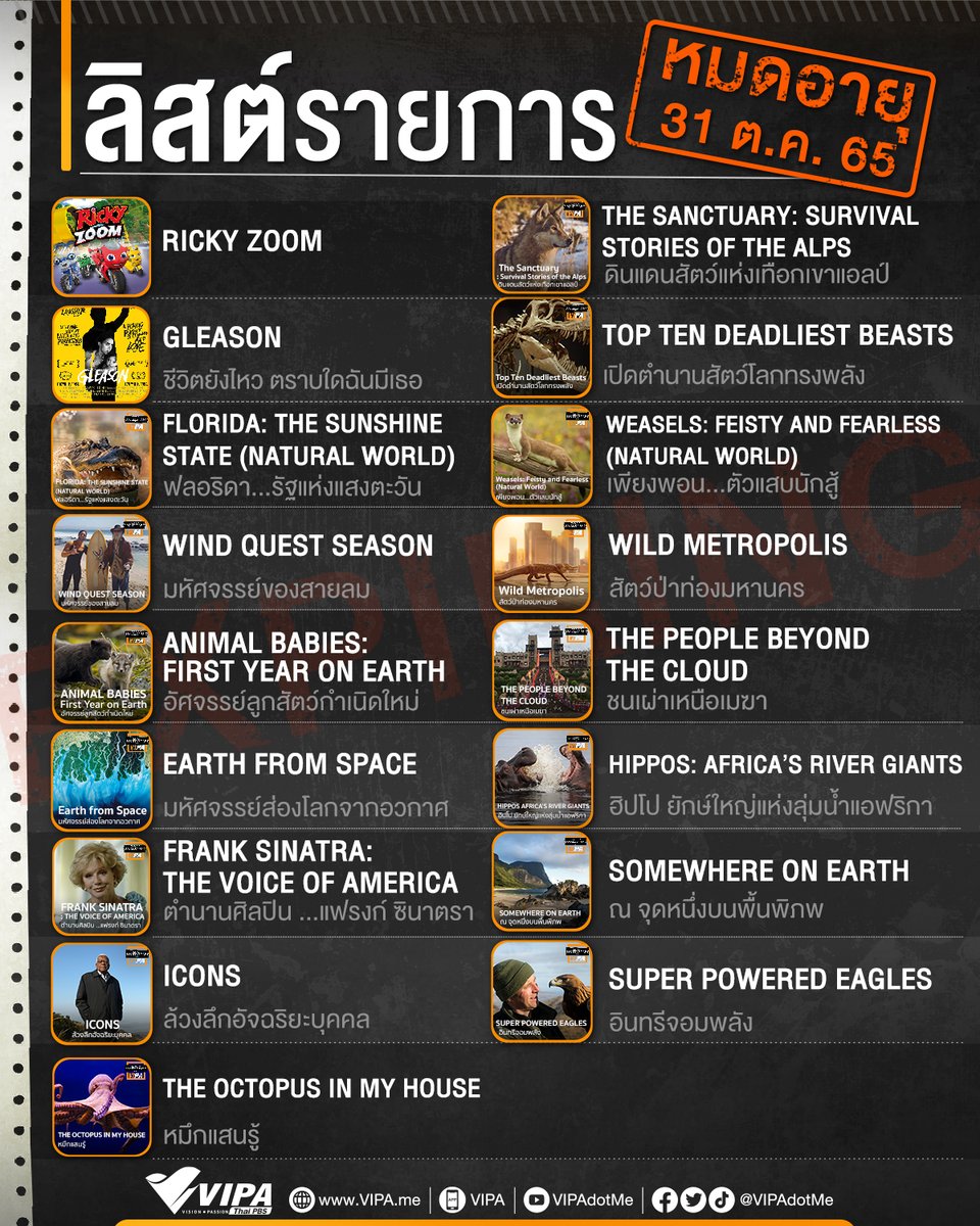 VIPAdotMe's tweet photo. #รีบดูก่อนหมดอายุ สิ้นเดือนตุลาคม เราจะมีการ์ตูน และสารคดีมากมายหมดอายุ จาก #VIPADotMe มีเรื่องไหนที่ยังดูค้างไว้ วันหยุดนี้จัดไป !
▶️ Playlist : https://t.co/KD99oXWlNf
#VIPAExpiry https://t.co/bZVOg71tLR