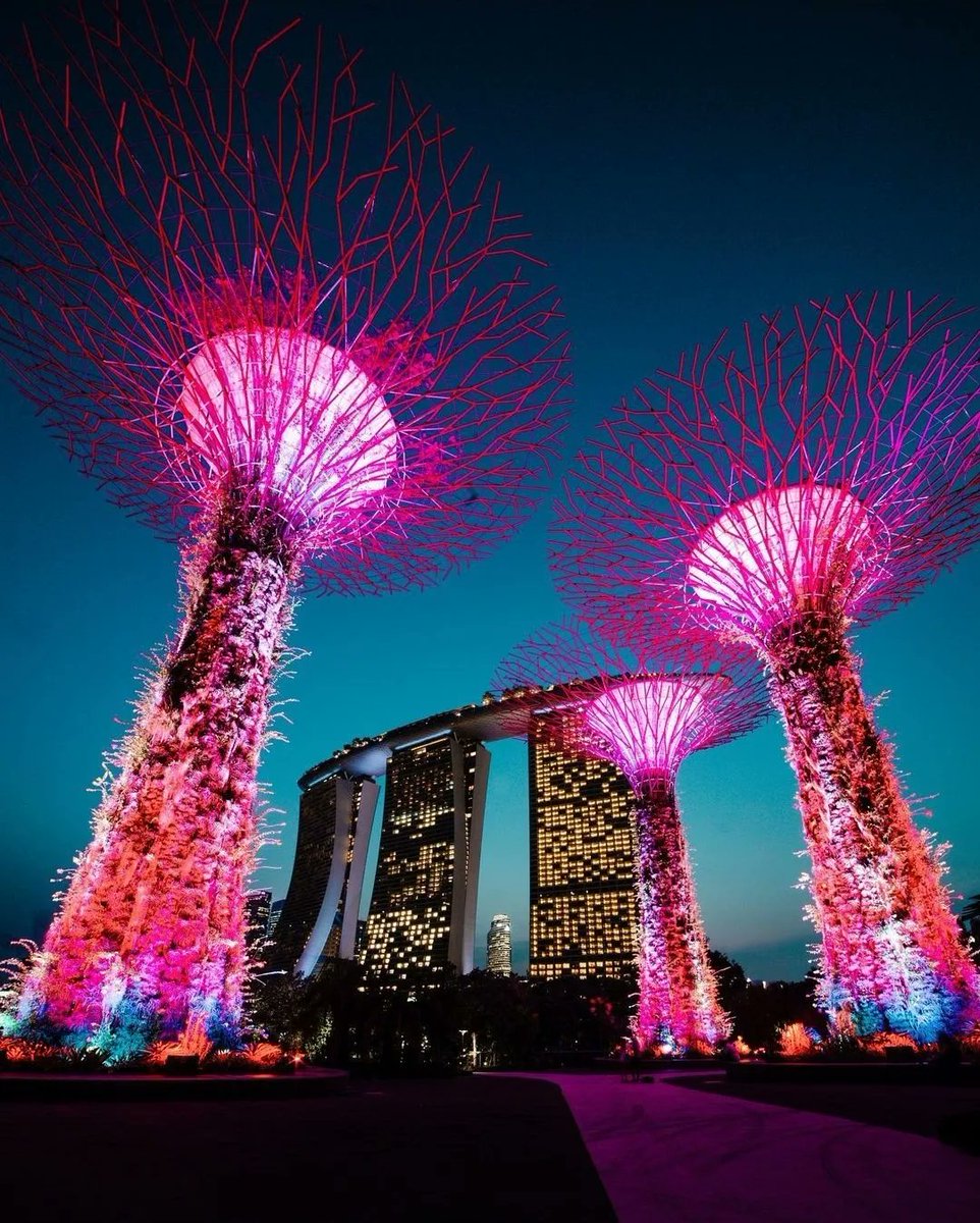 F1Influence's tweet photo. @F1 returns to Singapore after three years. 🔜🇸🇬

📸: @McLarenF1
#F1
#SingaporeGP https://t.co/hwKhPpRrdf