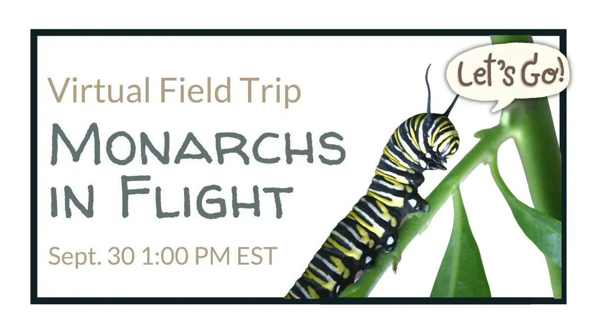 learnATW's tweet photo. TOMORROW | Sept. 30 @ 1:00 ET | Follow the migration of the Monarch Butterfly on this guided #virtualfieldtrip. Your students will learn about their life cycle and how we can help this endangered migration. #GEOshow Register
#IDedchat #5thchat #globalclassroom #vaslchat https://t.co/4DZIE94Qtz
