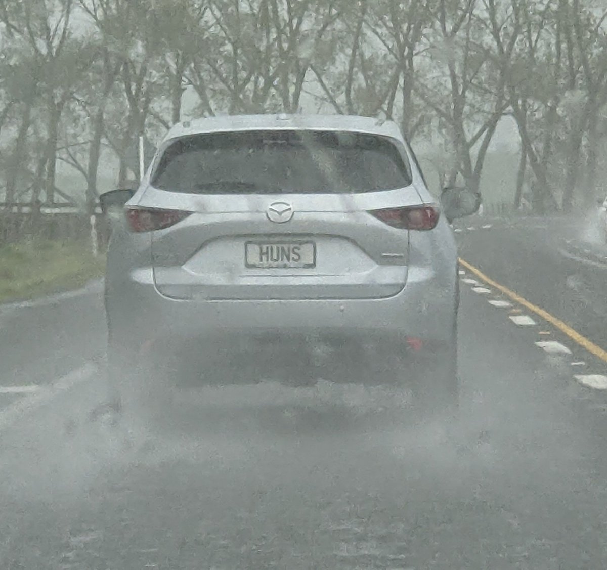 seratonin tweet media