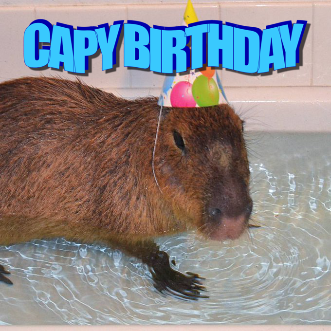 CapybaraClique's tweet photo. @CAPYBARA_MAN https://t.co/fFjU1743Ox