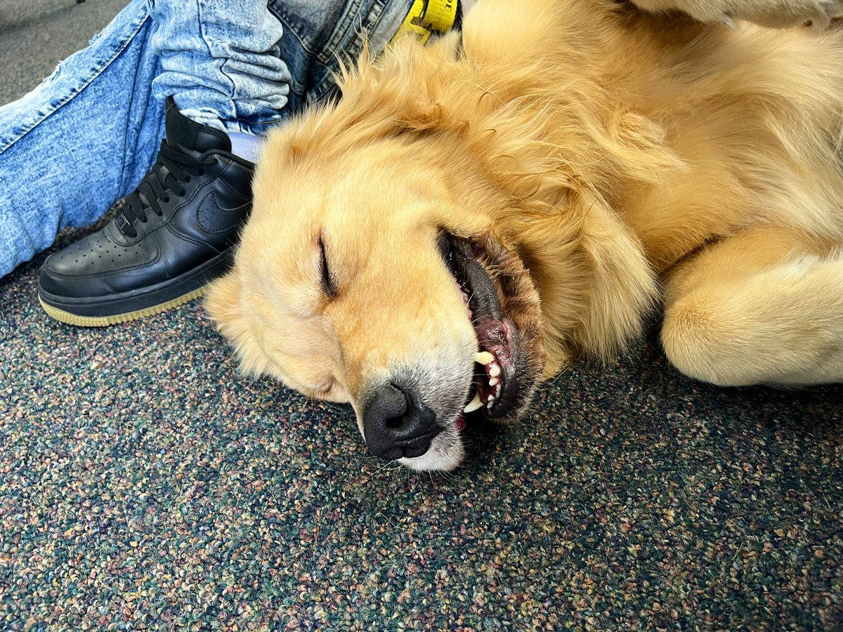 Claudia Sandoval tweet media