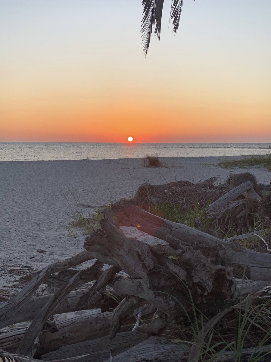 unioncollegefca's tweet photo. With every setting sun, arrives
new opportunities.

As followers of Jesus, as Christians we press toward the mark, of God’s call on our lives, in service to Him. 

Never be afraid of change and never stop pursuing His purpose. https://t.co/bao5MMNaUR
