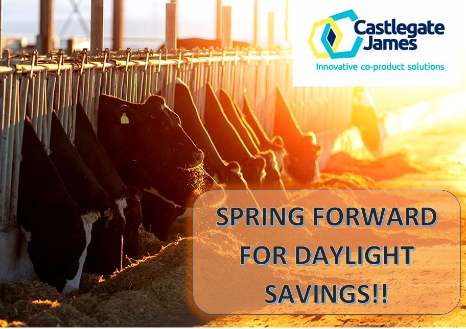 If you live in SA, NSW, ACT, VIC or TAS don't forget to put your clocks forward one hour on Sunday morning!

It's also the perfect time to test your smoke alarms!

#daylightsavings #cja #agriculture #innovation #co-products