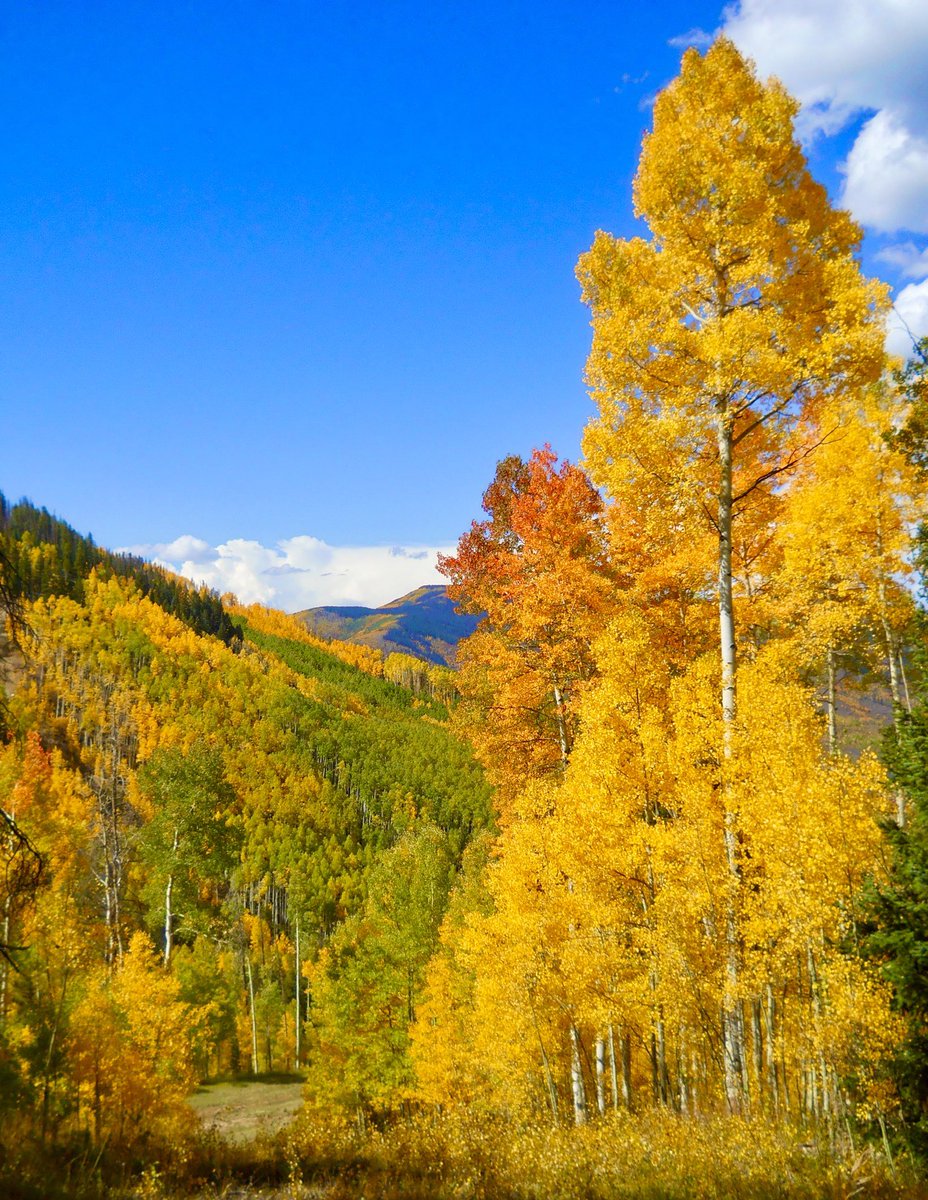 KyleCinVail's tweet photo. You can have your New Years and July 4th fireworks, this is more my style when it comes to dazzling color explosions lighting up the sky.🤩 #FallCOLORado🍂 https://t.co/jbCMpqD0RM