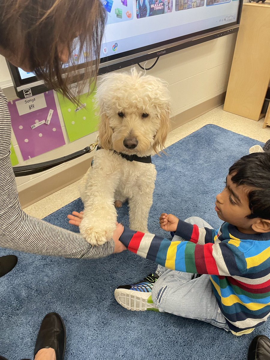 MECC_Counselor2's tweet photo. Shiner had a great time giving out lots of 💚 & high ✋🏻 today! #MVPs #MostValuablePups #ShinerLove #therapydog #CoMECCtion #schoolcounselor @MasonSchools @MrsBly_MECC https://t.co/JSlzdM7ZeW
