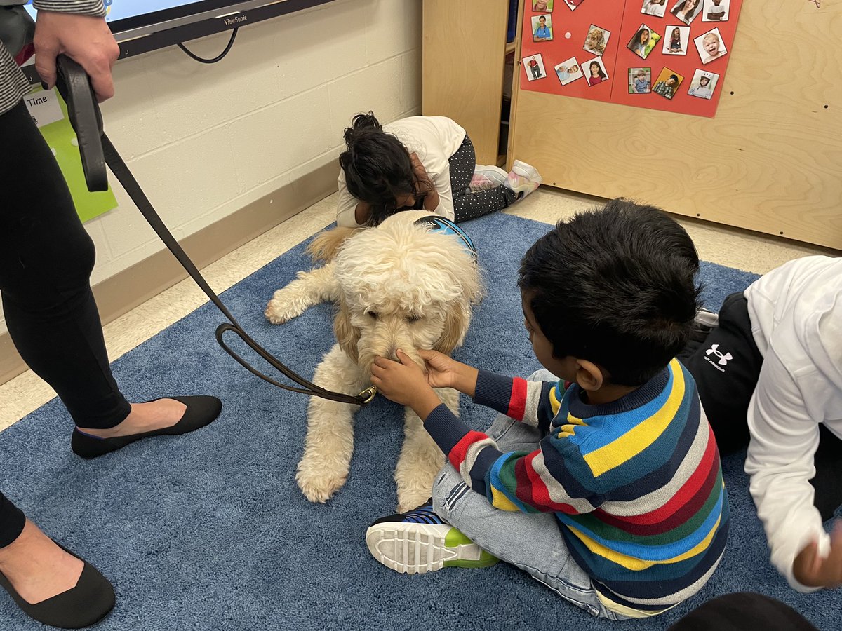 MECC_Counselor2's tweet photo. Shiner had a great time giving out lots of 💚 & high ✋🏻 today! #MVPs #MostValuablePups #ShinerLove #therapydog #CoMECCtion #schoolcounselor @MasonSchools @MrsBly_MECC https://t.co/JSlzdM7ZeW