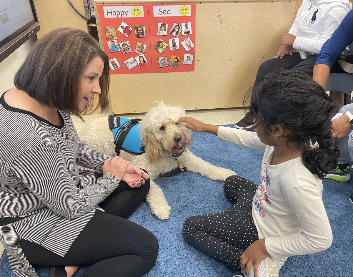 MECC_Counselor2's tweet photo. Shiner had a great time giving out lots of 💚 & high ✋🏻 today! #MVPs #MostValuablePups #ShinerLove #therapydog #CoMECCtion #schoolcounselor @MasonSchools @MrsBly_MECC https://t.co/JSlzdM7ZeW