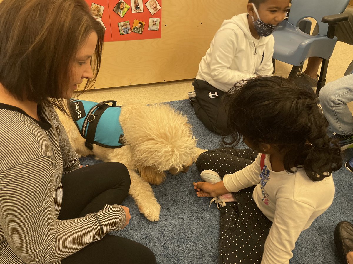 MECC_Counselor2's tweet photo. Shiner had a great time giving out lots of 💚 & high ✋🏻 today! #MVPs #MostValuablePups #ShinerLove #therapydog #CoMECCtion #schoolcounselor @MasonSchools @MrsBly_MECC https://t.co/JSlzdM7ZeW