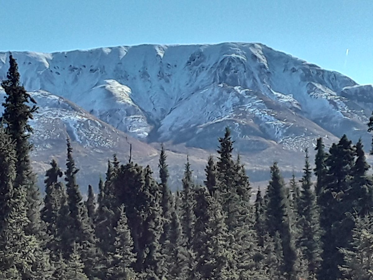 TruthYujin's tweet image. Isabel Pass, Alaska Range
