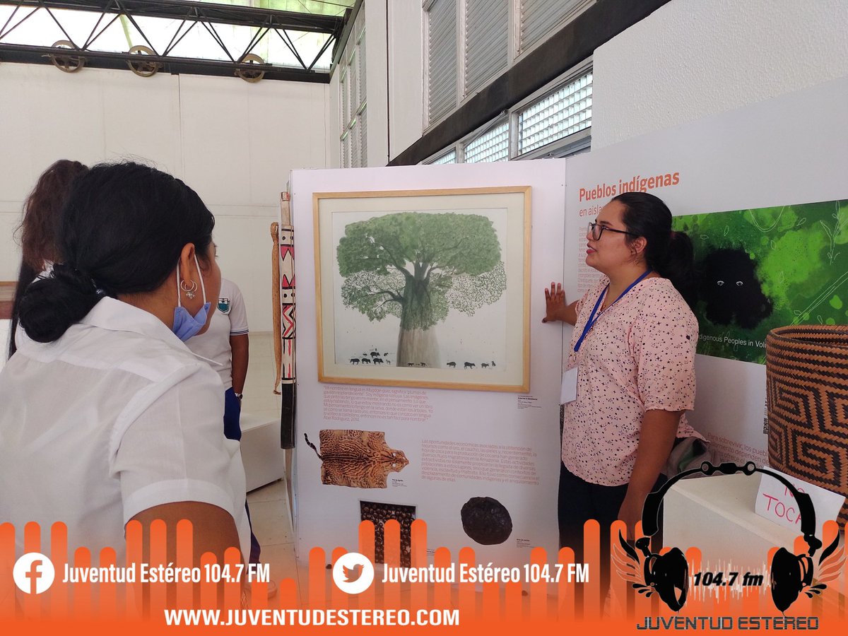 juventudestereo's tweet photo. #Actualidad en el Centro Cultural del municipio de San José del Guaviare se está presentando la exposición "El Jaguar y la Mariposa"un tributo al patrimonial excepcional de nuestro país representado en el Parque Nacional Natural Serranía de Chiribiquete. https://t.co/oIpVxFvGZh