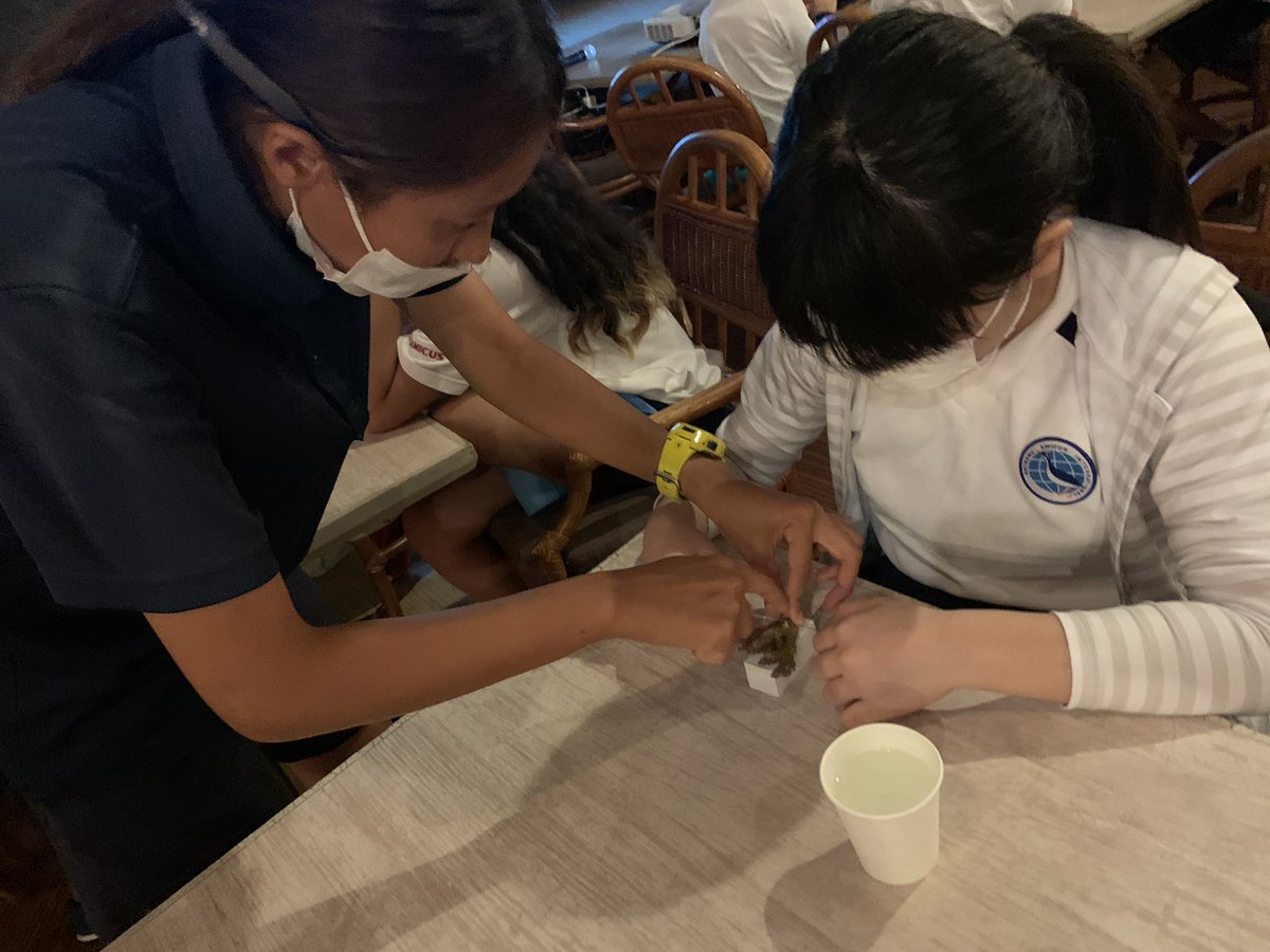 AmicusOkinawa's tweet photo. 5年生宿泊学習2日目
サンゴの苗づくり
G5 Overnight Trip Day2
Coral seedlings making
#沖縄　#沖縄アミークス　#万座ビーチリゾート #anaintercontinental #恩納村　#SDGs https://t.co/SgZ6BRqoIp