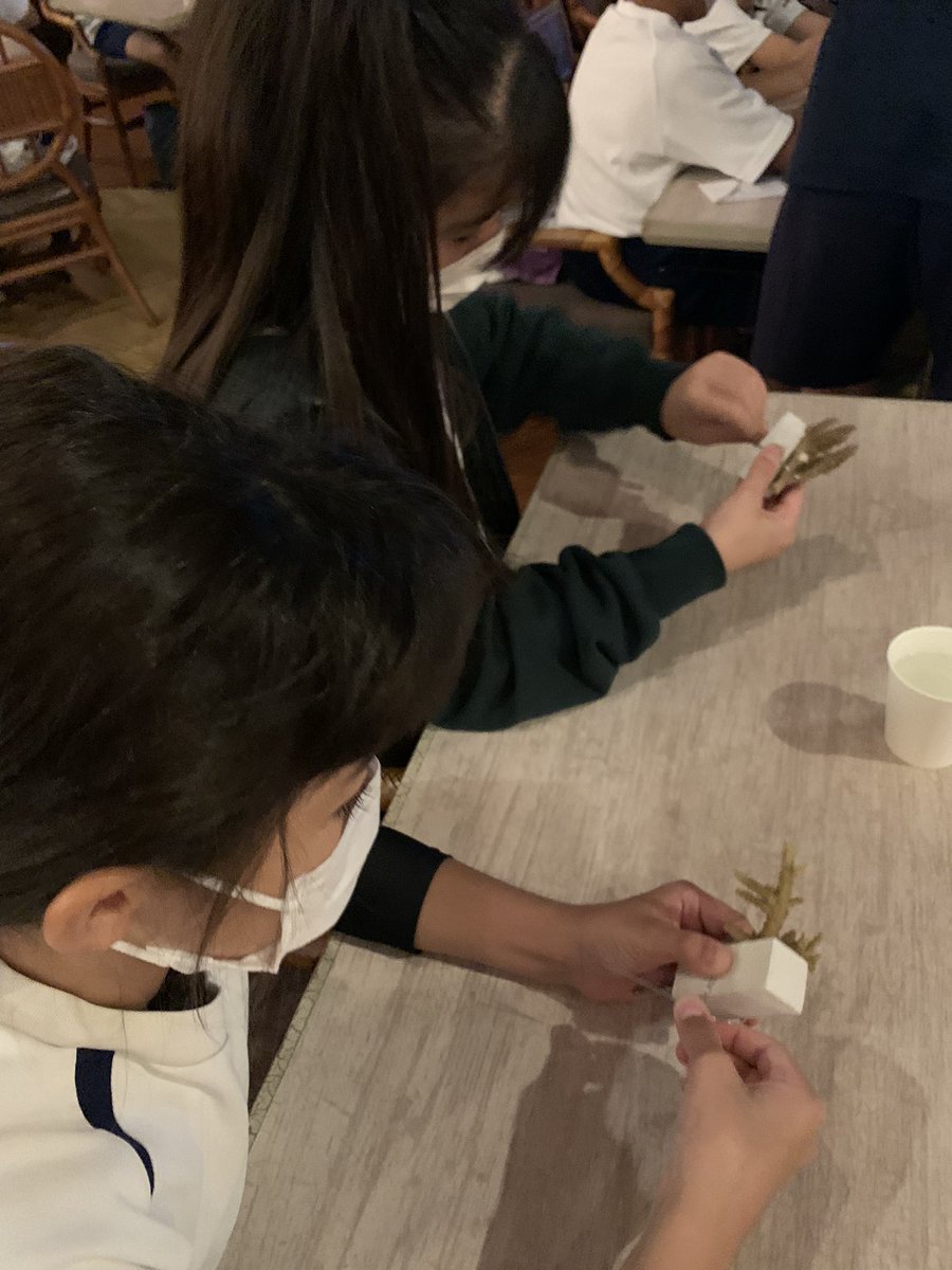 AmicusOkinawa's tweet photo. 5年生宿泊学習2日目
サンゴの苗づくり
G5 Overnight Trip Day2
Coral seedlings making
#沖縄　#沖縄アミークス　#万座ビーチリゾート #anaintercontinental #恩納村　#SDGs https://t.co/SgZ6BRqoIp