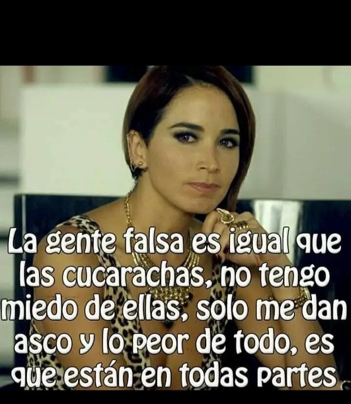 Veronica Silveira (@veronicasil05) on Twitter photo 