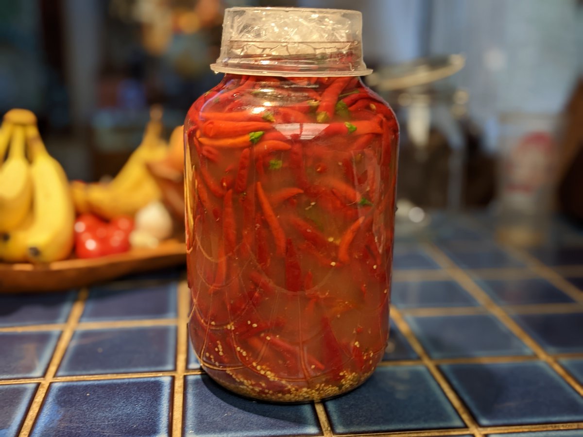 sagesacre's tweet image. Topped off 1 gallon of Batch 22 fermented hot sauce with fresh peppers over the weekend. This will rest for a couple weeks before moving to the big fermenter.
#batch22 #cayenne #chilisauce #chillipeppersauce #fermentedfood #fermentedhotsauce #hotsauce

sagesacre.com/?p=6276