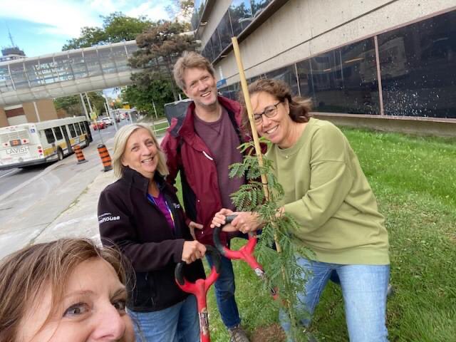 Trees4Hamilton's tweet photo. Trees near health facilities improve  outcomes. St. Joseph's Hospital is the now home to more trees.🌳
Thanks to St. Joe’s leadership and planting and City of Hamilton and Enbridge for your support.  
@hamont #TreesforHealth @PEACH_HealthON @cityofhamilton @enbridgegas https://t.co/Y68GHIvePM
