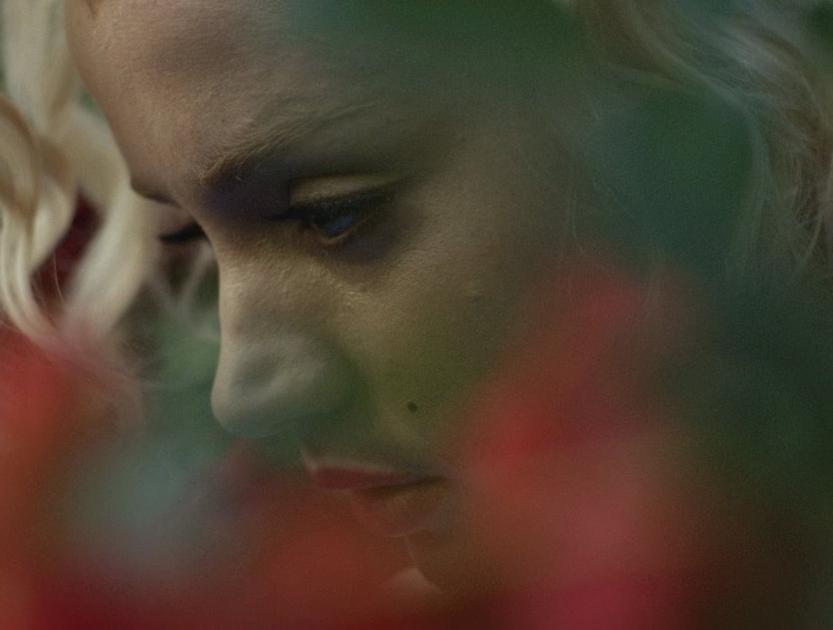 Brandon Streussnig tweet media