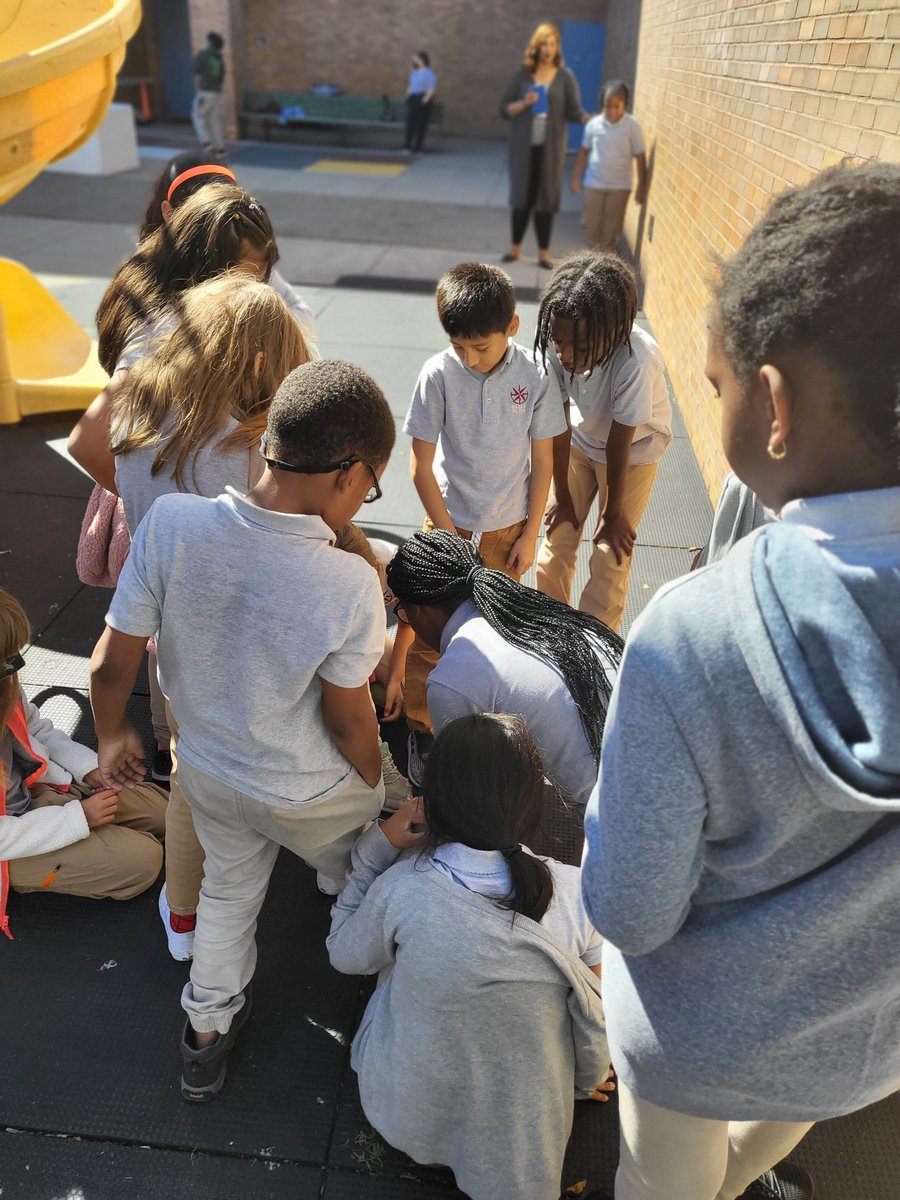 Valerie Macey M.Ed. tweet media