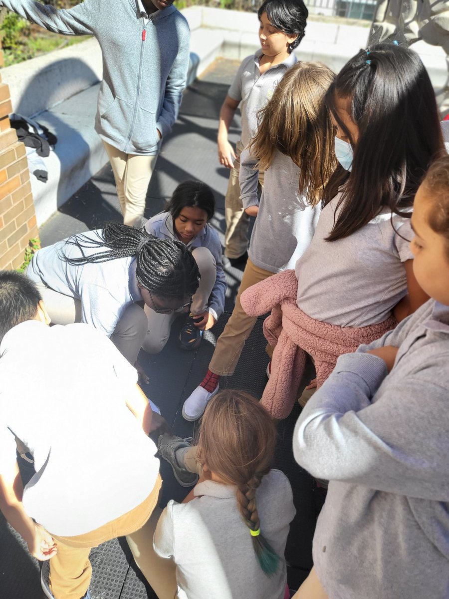 Valerie Macey M.Ed. tweet media