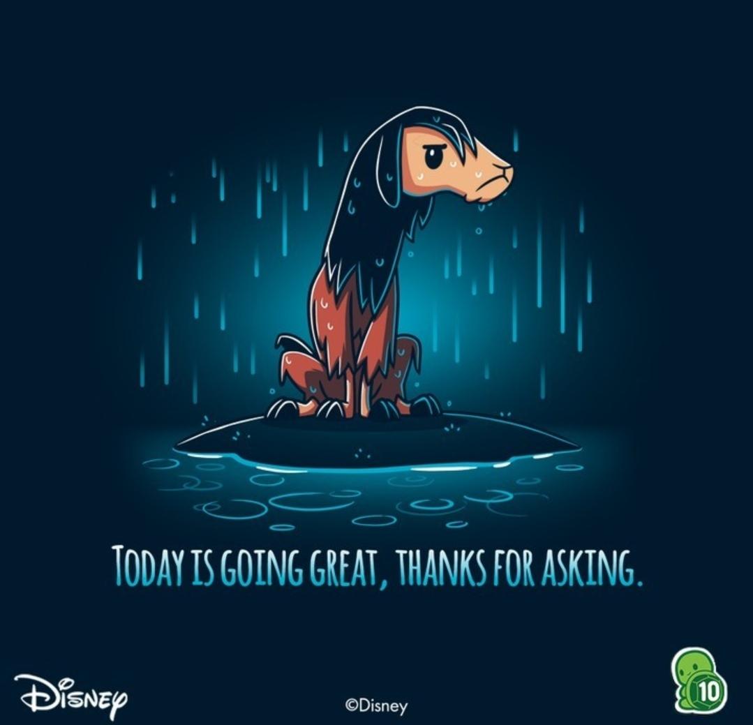 MPaige226914's tweet photo. Not having a good day!!
#BadDay #stressed #rebootneeded https://t.co/UTNADDZuEI