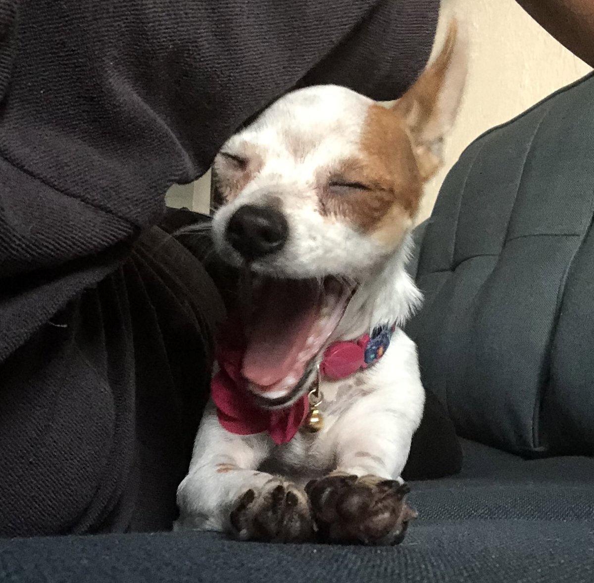 dirby2022's tweet image. Cuánto falta para el Viernes? 🙃